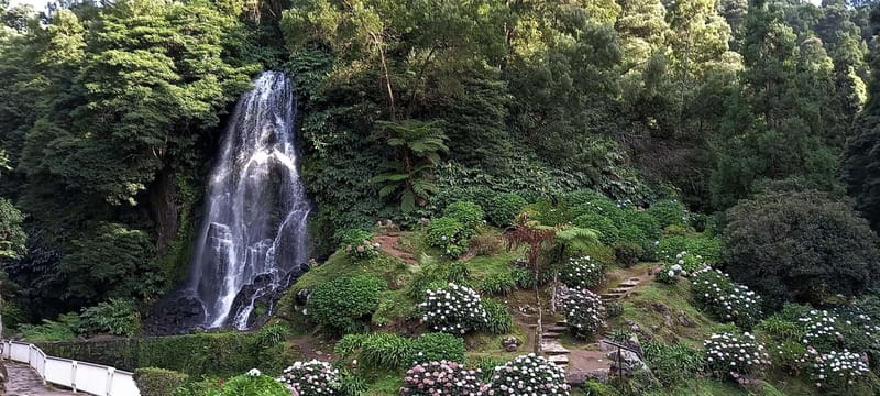 Furnas Volcano: Full Day Tour, Hot Springs & Waterfalls - Gorreana Tea Factory and a Taste of the Island