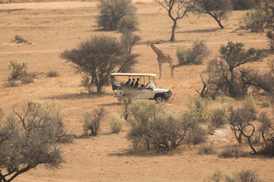 Game drive in Victoria Falls - Key points to know before you book