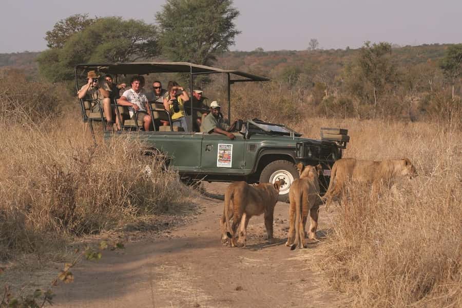 Game drive in Victoria Falls - What to bring for comfort and better sightings