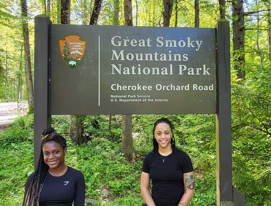 Gatlinburg: Great Smoky Mts National Park Waterfall Tour - Key points to know before you book