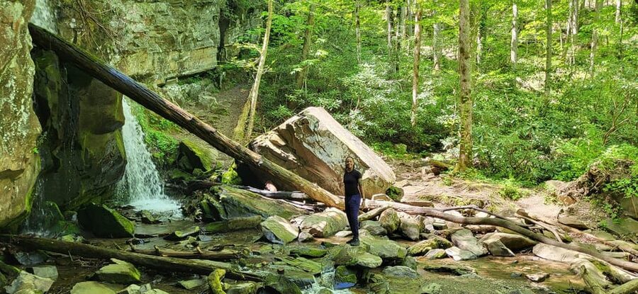Gatlinburg: Great Smoky Mts National Park Waterfall Tour - The waterfall is the main reward