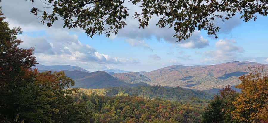 Gatlinburg: Great Smoky Mts National Park Waterfall Tour - Guides make the biggest difference