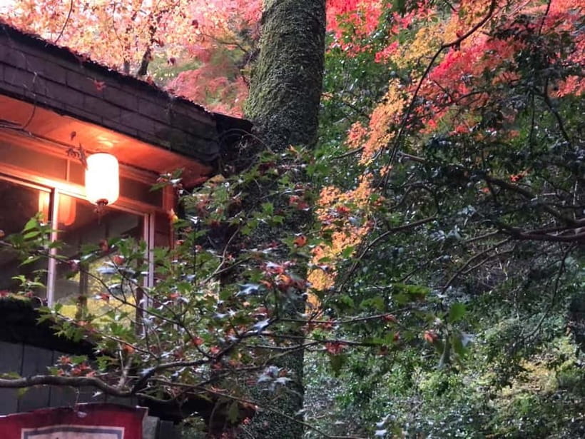 Get to know Minoo from Osaka. Katsuoji Temple, Ryuanji Waterfall and Ryuanji Temple - Momiji tempura, a very local snack