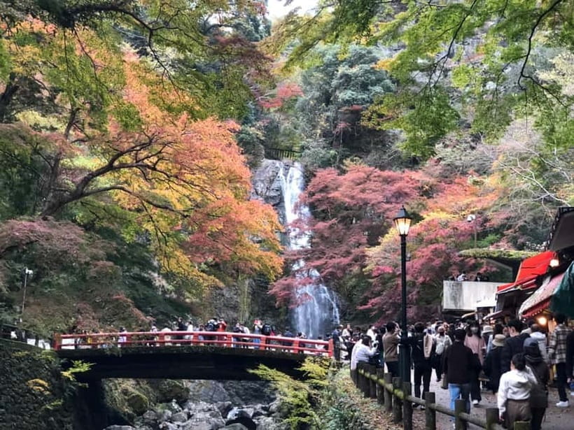Get to know Minoo from Osaka. Katsuoji Temple, Ryuanji Waterfall and Ryuanji Temple - The meaning behind the daruma tradition