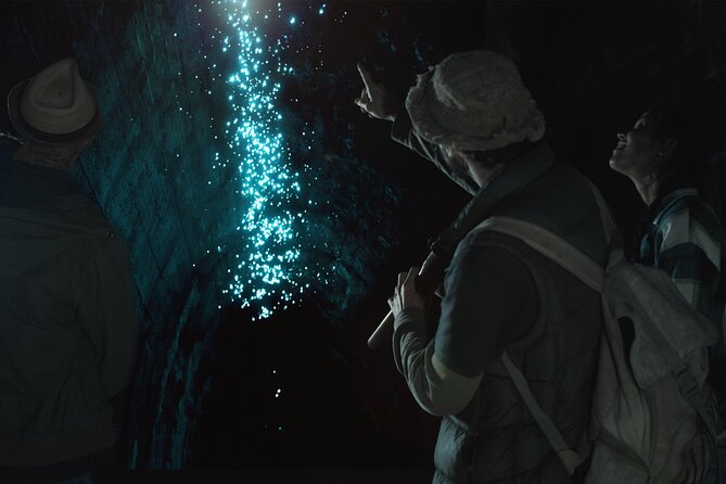 Glow-worms, Waterfalls & Rainforest Experience - Five things to know before you go