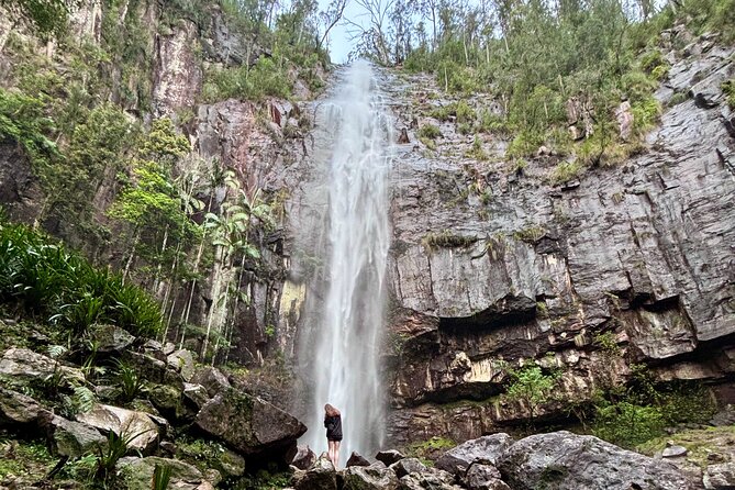 Glow-worms, Waterfalls & Rainforest Experience - From Byron Bay to Nightcap National Park