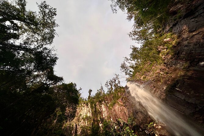Glow-worms, Waterfalls & Rainforest Experience - How the guides shape the day