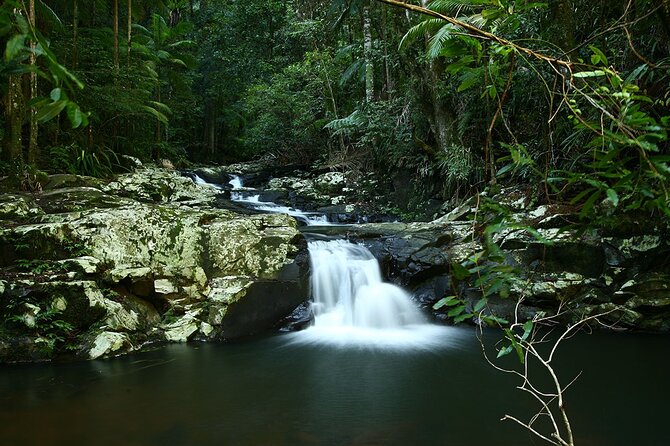 Glow-worms, Waterfalls & Rainforest Experience - What to bring and who will enjoy it