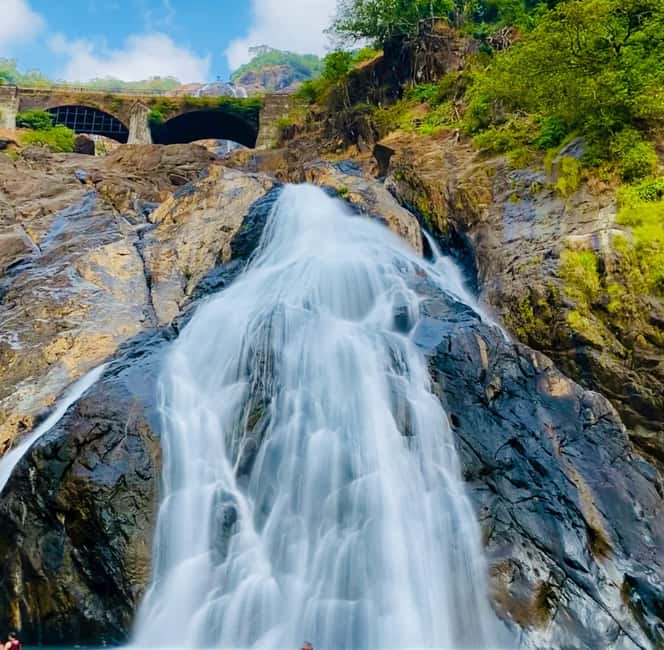 Goa: SIC Dudhsagar Waterfall and Spice Plantation Day Tour - Key points before you book