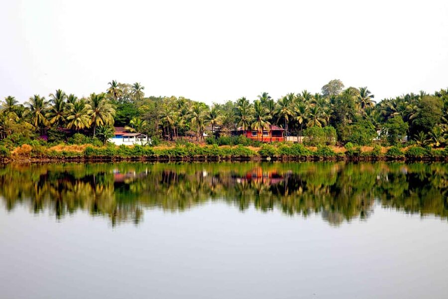 Goa: SIC Dudhsagar Waterfall and Spice Plantation Day Tour - Transport, guiding, and the real value of $41