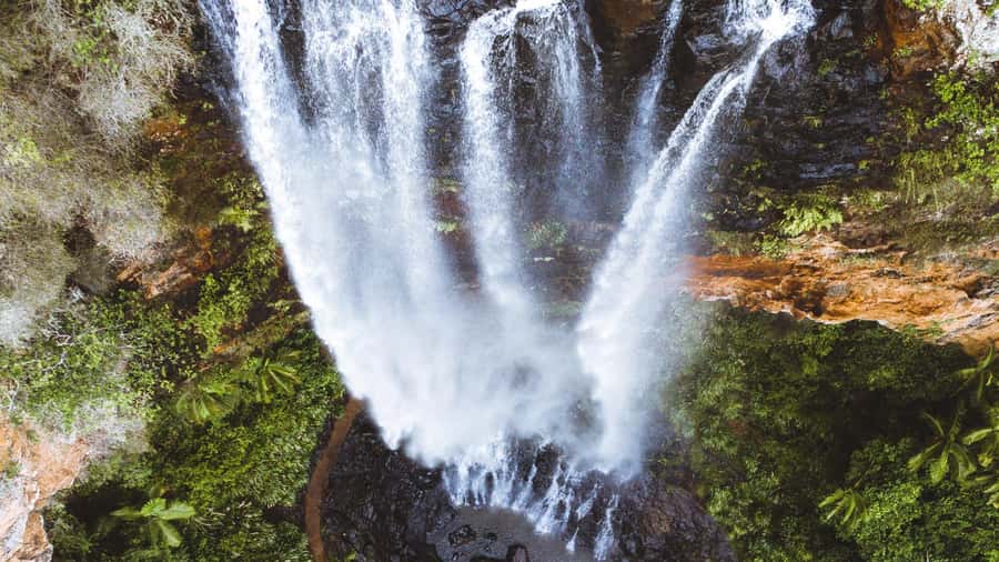 Gold Coast: 6 Waterfalls, Koalas & Natural Bridge Day Tour - Five things to know before you book