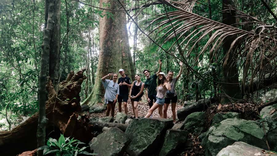 Gold Coast: 6 Waterfalls, Koalas & Natural Bridge Day Tour - Purling Brook Falls and Canyon Lookout