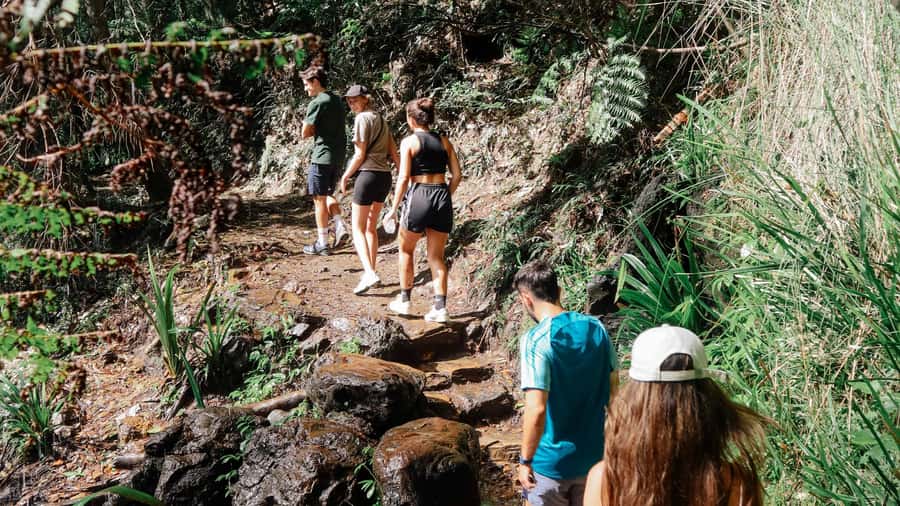 Gold Coast: 6 Waterfalls, Koalas & Natural Bridge Day Tour - Natural Bridge: the right final act