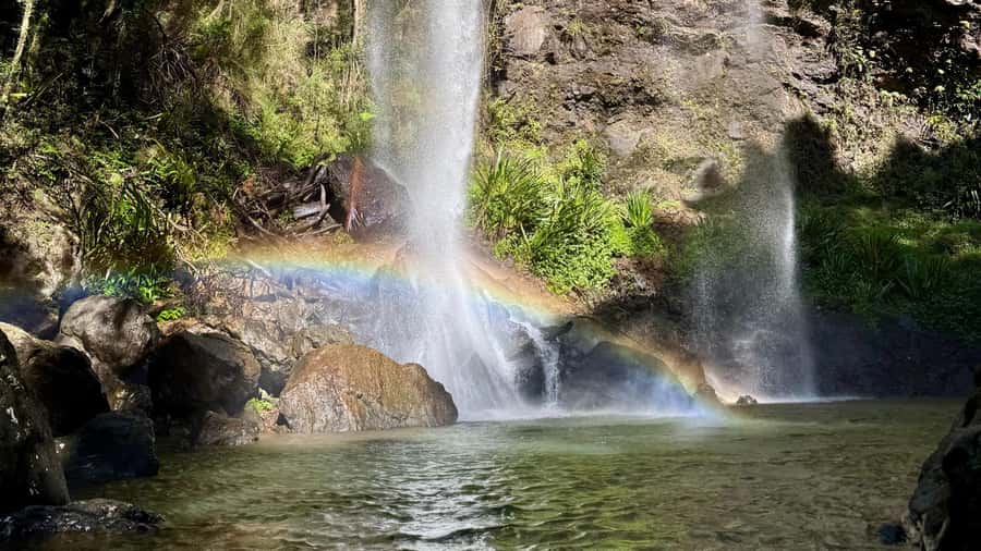 Gold Coast: 6 Waterfalls, Koalas & Natural Bridge Day Tour - Transport, group size, and language help