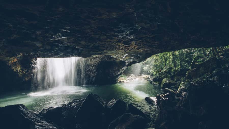 Gold Coast: 6 Waterfalls, Koalas & Natural Bridge Day Tour - Coombabah Lake: your first chance to find wild koalas