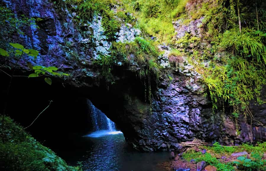 Gold Coast: Kangaroos, Rainforest & Waterfalls Experience - Why this makes a good Gold Coast day trip