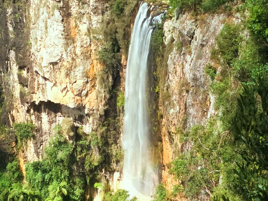 Gold Coast: Kangaroos, Rainforest & Waterfalls Experience - Lunch beside the falls