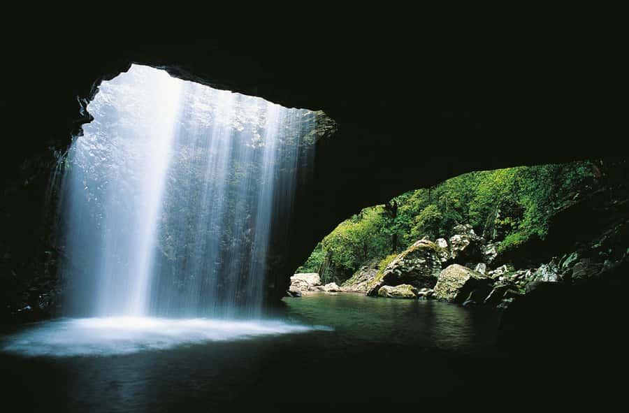 Gold Coast: Natural Bridge & Springbrook Waterfalls Tour - Why Springbrook makes a fine change from the beach