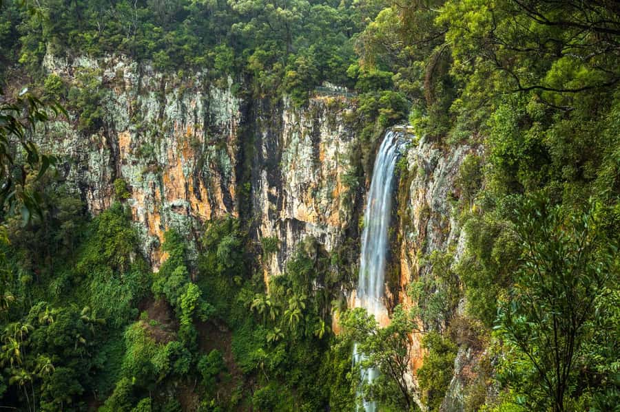 Gold Coast: Natural Bridge & Springbrook Waterfalls Tour - Natural Bridge and the waterfall inside the cave