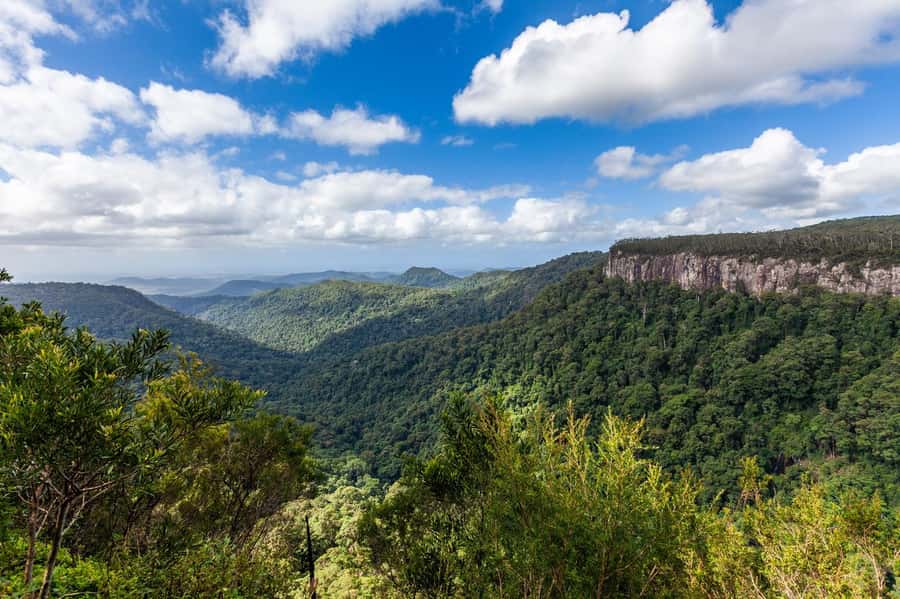 Gold Coast: Natural Bridge & Springbrook Waterfalls Tour - Best of All Lookout and the Antarctic Beech forest