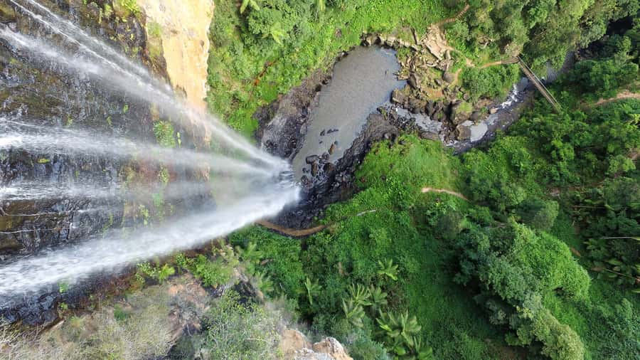 Gold Coast: Natural Bridge & Springbrook Waterfalls Tour - Purling Brook Falls and the lookout circuit