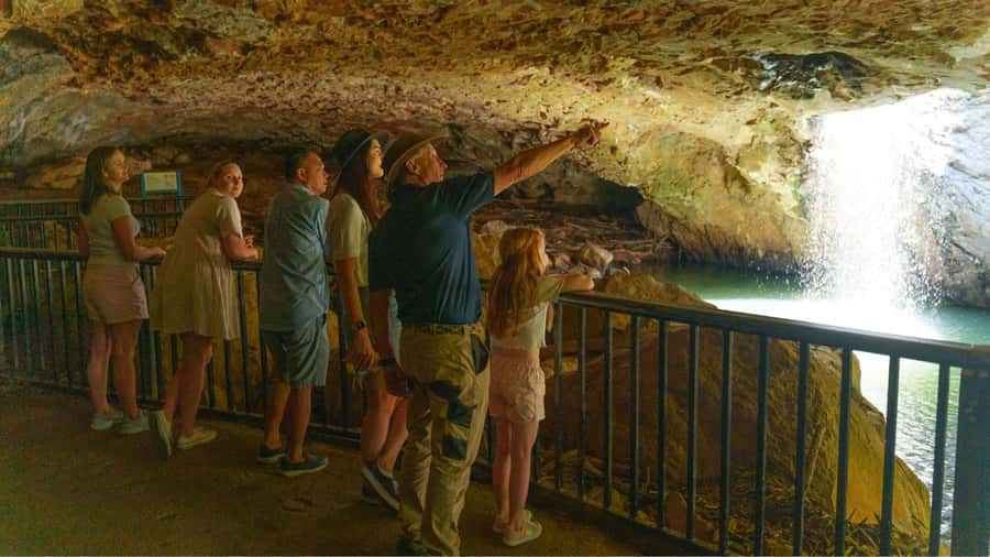 Gold Coast: Natural Bridge & Springbrook Waterfalls Tour - Wildlife, timing, and the luck factor
