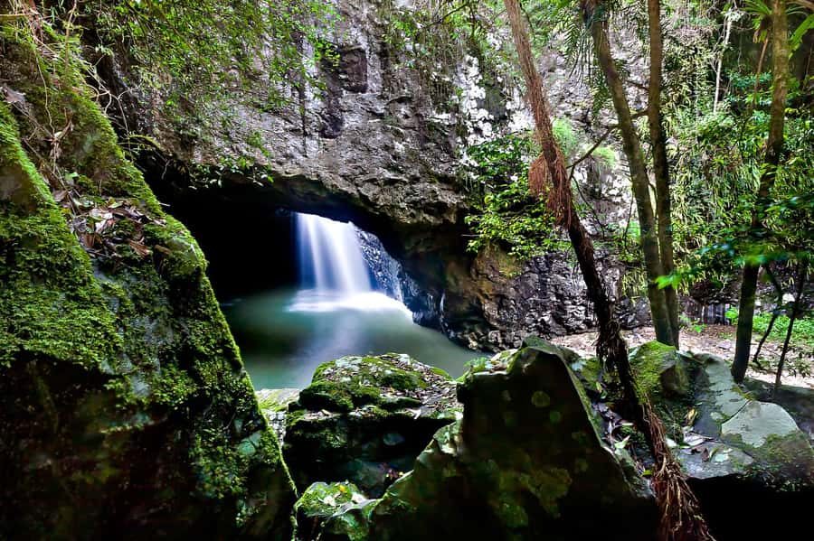 Gold Coast: Natural Bridge & Springbrook Waterfalls Tour - What the guides add to the experience