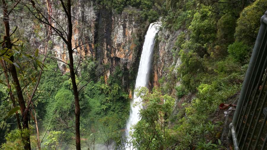 Gold Coast: Natural Bridge & Springbrook Waterfalls Tour - The road through Numinbah Valley
