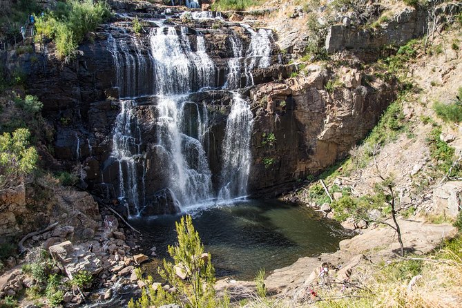 Grampians National Park with MacKenzie Falls and Kangaroos - Five things to know before you go