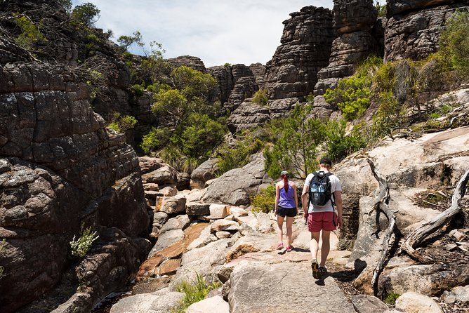 Grampians National Park with MacKenzie Falls and Kangaroos - Reed Lookout and Boroka Lookout