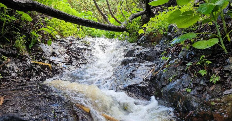 Gran Canaria: "Magic Waterfalls" Hiking Tour - Key points at a glance