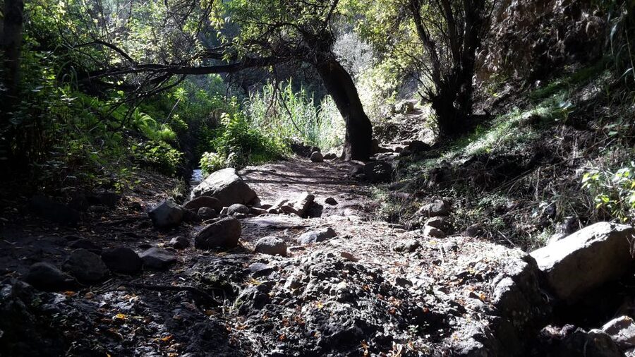 Gran Canaria: "Magic Waterfalls" Hiking Tour - Why the small group makes a difference