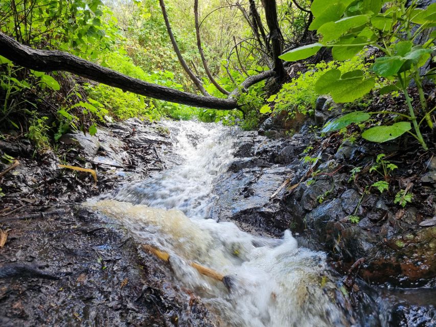 Gran Canaria: "Magic Waterfalls" Hiking Tour - Who should book this hike?