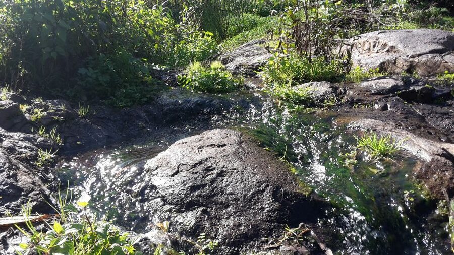 Gran Canaria: "Magic Waterfalls" Hiking Tour - The 7-kilometer route and its physical demands