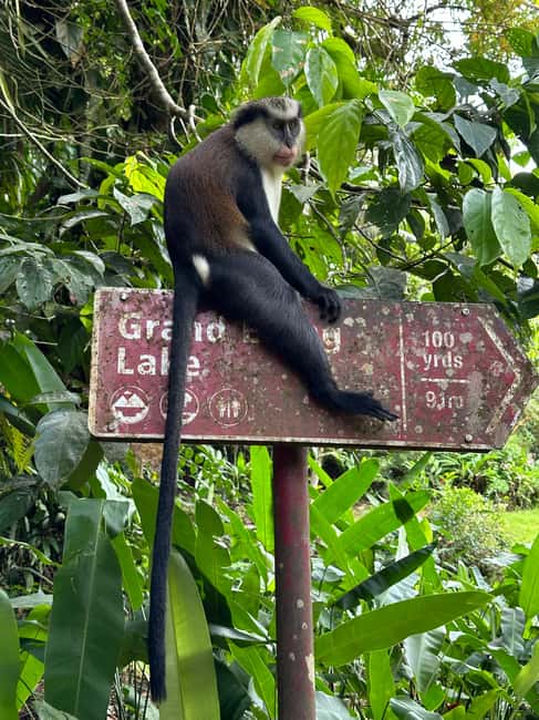Grenada: Annandale Waterfall, Grand Etang, Grand Anse beach - Three Grenada sights in five hours