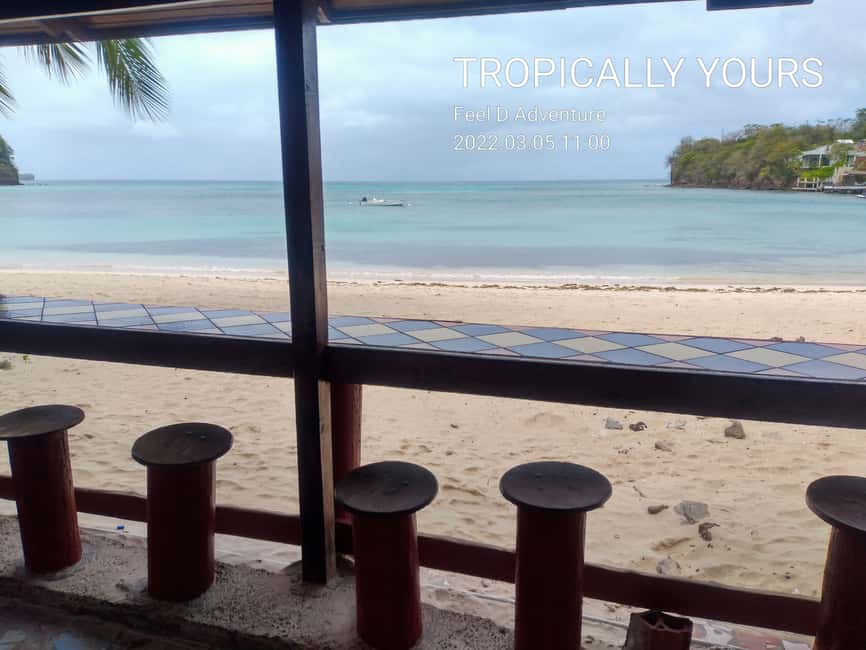Grenada: Half-Day Island Tour with Waterfall Swim Stop - Key points to know before booking