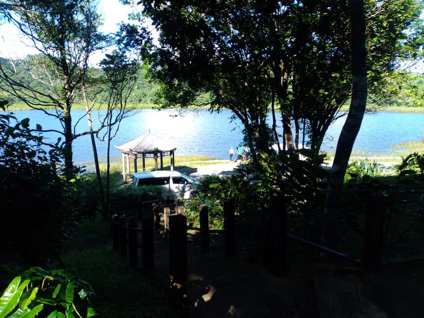 Grenada: Half-Day Island Tour with Waterfall Swim Stop - Annandale Falls adds the day’s best active stop