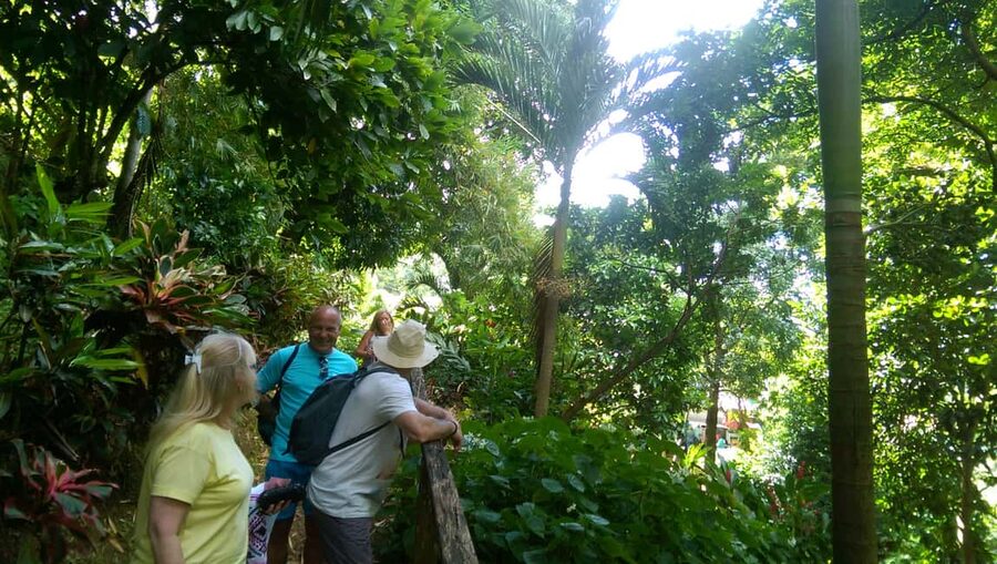 Grenada: Half-Day Island Tour with Waterfall Swim Stop - Morne Rouge Beach is the final pause