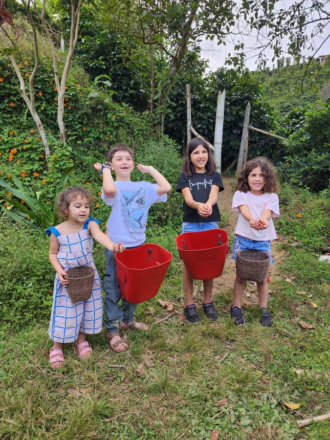 Guatape Coffee Villa including Rock Town & Waterfall - Hands-on coffee at the organic villa