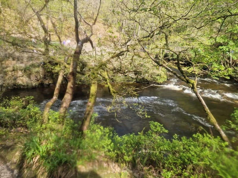 Guided Breacon Beacons 4 waterfalls in day hike from Cardiff - Should you book the Four Waterfalls day hike?