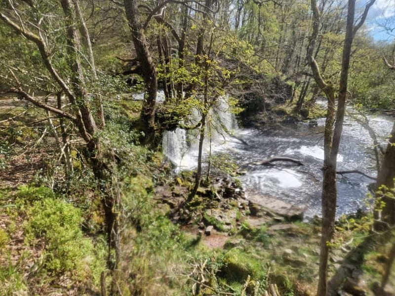 Guided Breacon Beacons 4 waterfalls in day hike from Cardiff - Cobblers’ Bridge and the first hour on foot