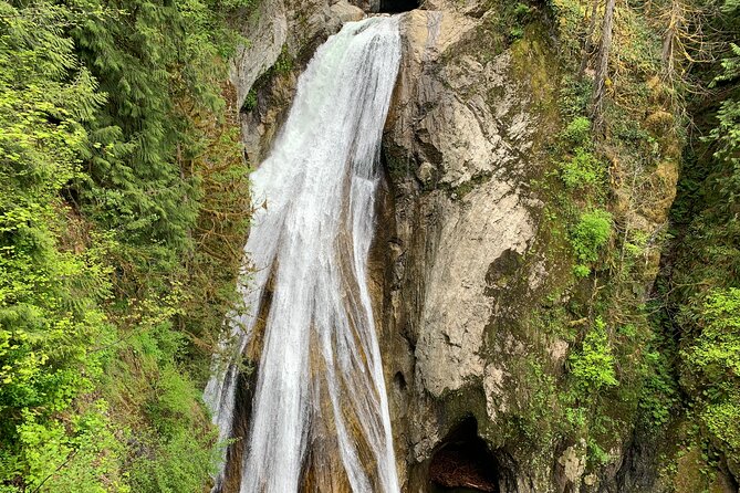 Guided forest hike to Seattle waterfalls incl. Snoqualmie Falls - Who will enjoy this outing most?