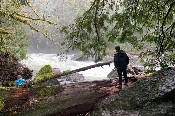 Guided forest hike to Seattle waterfalls incl. Snoqualmie Falls - Olallie State Park and the walk to Twin Falls