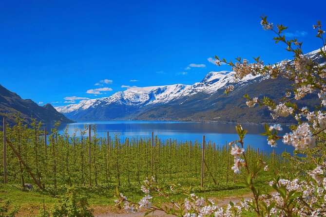 Guided tour to Hardangerfjord with Waterfalls and Ferry Crossing - Three waterfall stops, with Steinsdalsfossen as the highlight