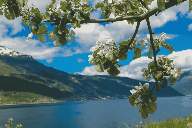 Guided tour to Hardangerfjord with Waterfalls and Ferry Crossing - Norheimsund gives you the day’s main break