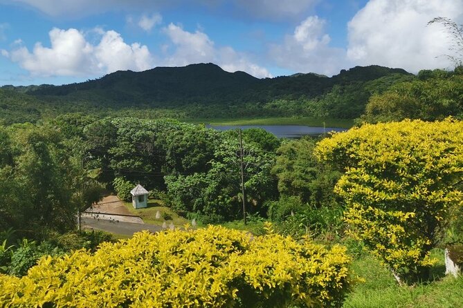 Half-Day Concord Waterfall and Chocolate Factory Tour - Grand Etang Lake brings you into the rainforest