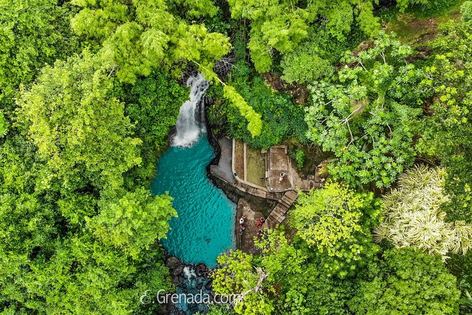 Half-Day Grenada River Tubing -Grand Etang & Annandale Falls - Key things to know before you book