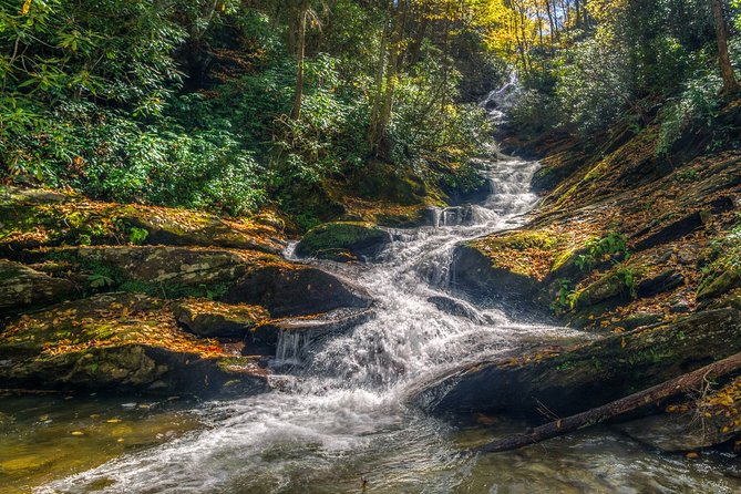 Half Day Hike - Water Falls - Walking through Pisgah Forest