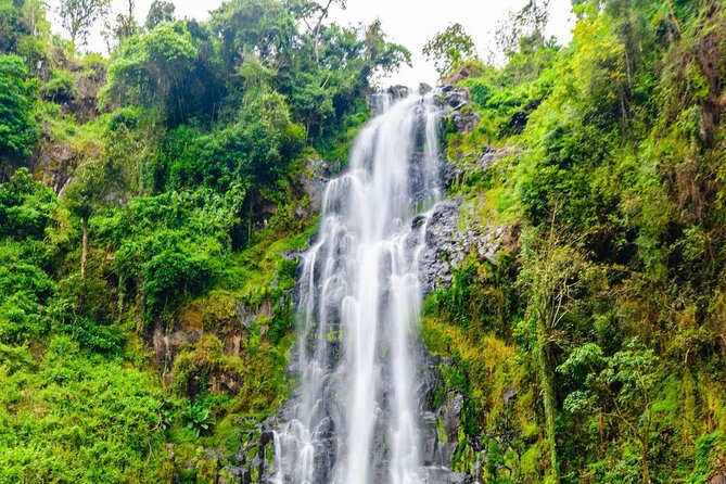 Half-Day Private Tour to Materuni Waterfalls and Coffee excursion - Key points to know before you go