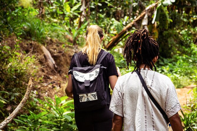 Half-Day Private Tour to Materuni Waterfalls and Coffee excursion - Returning to the village for a traditional coffee session